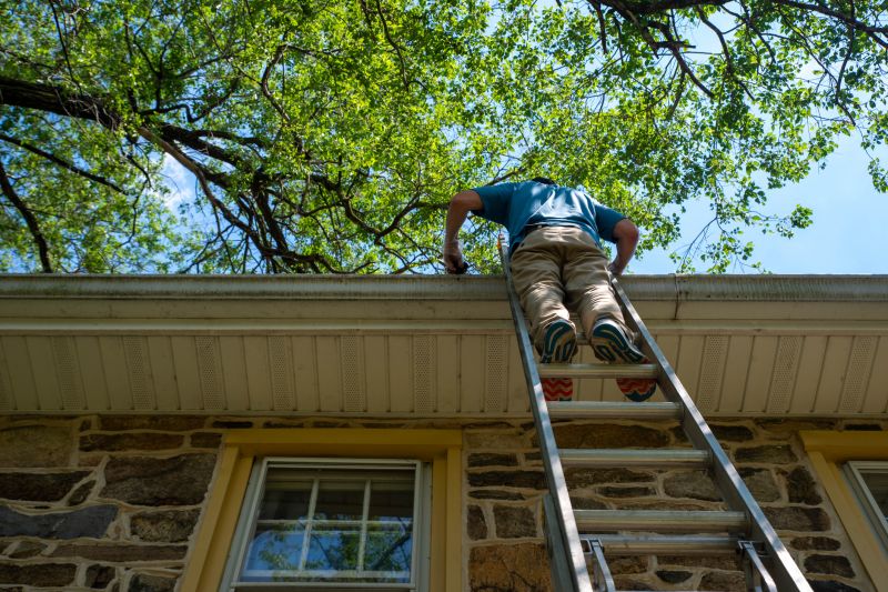 Summer Roofing Maintenance